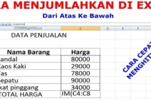 cara menjumlahkan di excel 0