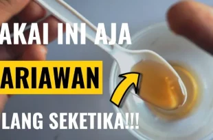 cara menyembuhkan sariawan dalam 5 menit 0