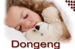 dongeng anak sebelum tidur 0