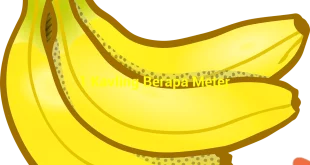 featured image 1 kavling berapa meter 0