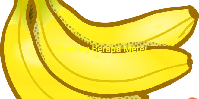 featured image 1 kavling berapa meter 0