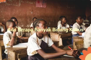 featured image ada berapa banyak bidang kubus 0