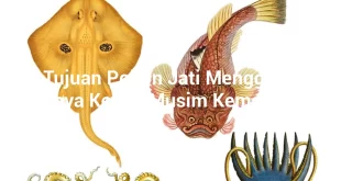 featured image apa tujuan pohon jati menggugurkan daunnya ketika musim kemarau tiba 0