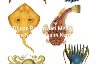 featured image apa tujuan pohon jati menggugurkan daunnya ketika musim kemarau tiba 0