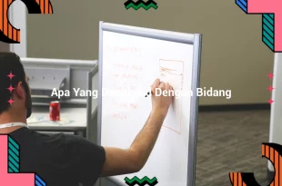 featured image apa yang dimaksud dengan bidang 0