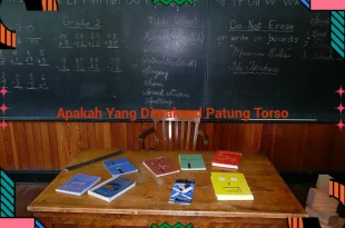 featured image apakah yang dimaksud patung torso 0