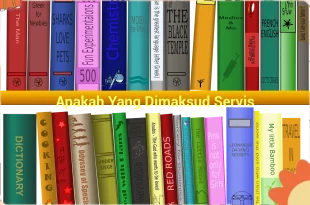 featured image apakah yang dimaksud servis 0