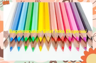 featured image bagaimanakah sifat teks eksposisi 0