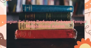 featured image bagian sel yang berfungsi sebagai tempat metabolisme adalah 0