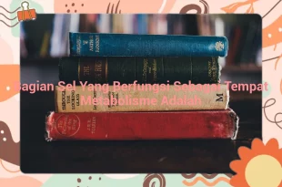 featured image bagian sel yang berfungsi sebagai tempat metabolisme adalah 0