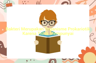 featured image bakteri merupakan organisme prokariotik karena tidak mempunyai 0