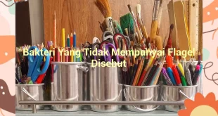 featured image bakteri yang tidak mempunyai flagel disebut 0