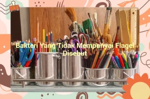 featured image bakteri yang tidak mempunyai flagel disebut 0