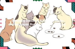 featured image berenang biasanya dilakukan tanpa perlengkapan buatan karena bertujuan untuk 0