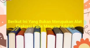 featured image berikut ini yang bukan merupakan alat ekskresi pada manusia adalah 0