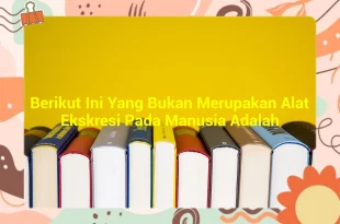 featured image berikut ini yang bukan merupakan alat ekskresi pada manusia adalah 0