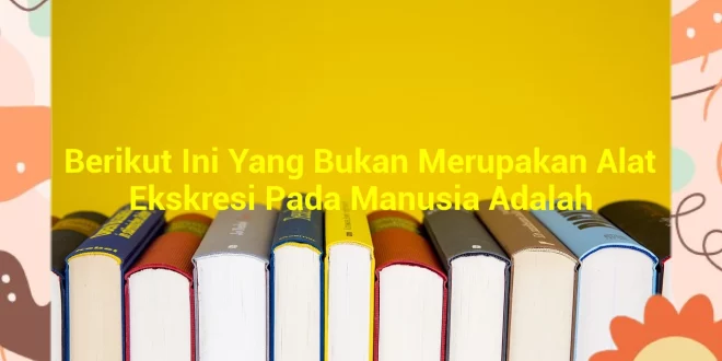 featured image berikut ini yang bukan merupakan alat ekskresi pada manusia adalah 0