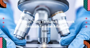 featured image berikut ini yang termasuk kelompok besaran turunan adalah 0