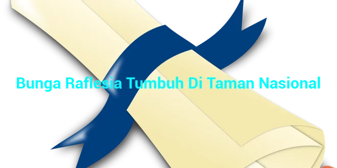 featured image bunga raflesia tumbuh di taman nasional 0