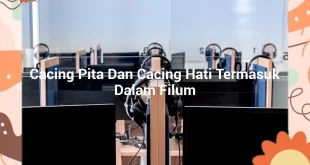 featured image cacing pita dan cacing hati termasuk dalam filum 0