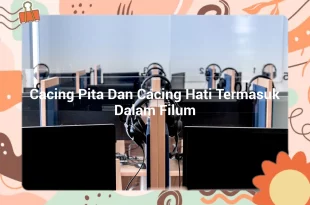 featured image cacing pita dan cacing hati termasuk dalam filum 0