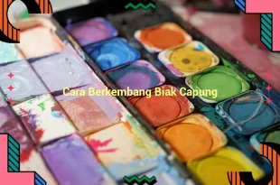 featured image cara berkembang biak capung 0