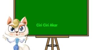 featured image ciri ciri akar 0