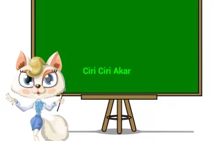 featured image ciri ciri akar 0