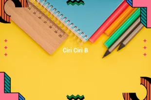 featured image ciri ciri b 0