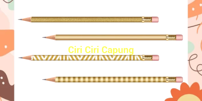 featured image ciri ciri capung 0