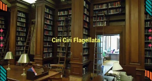 featured image ciri ciri flagellata 0