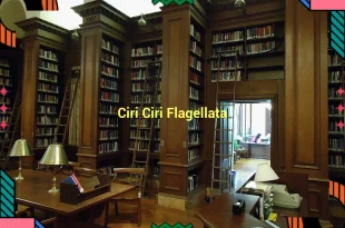 featured image ciri ciri flagellata 0