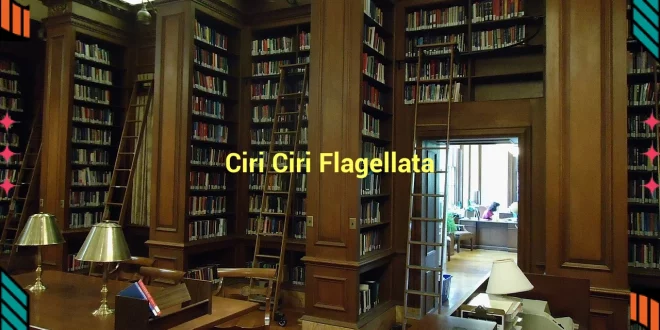 featured image ciri ciri flagellata 0