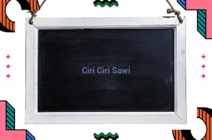 featured image ciri ciri sawi 0