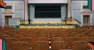 featured image contoh tumbuhan yang bisa diolah menghasilkan bioetanol adalah 0