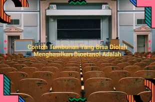featured image contoh tumbuhan yang bisa diolah menghasilkan bioetanol adalah 0