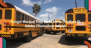 featured image fungsi marque tool pada menu toolbox di adobe photoshop adalah 0