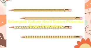 featured image kelompok satuan kecil dalam pramuka siaga dinamakan 0