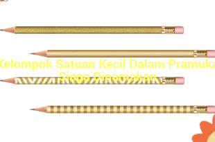 featured image kelompok satuan kecil dalam pramuka siaga dinamakan 0