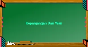 featured image kepanjangan dari wan 0