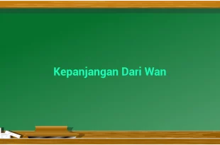 featured image kepanjangan dari wan 0