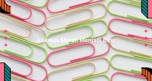 featured image lakmus merah menjadi biru 0