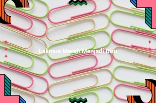 featured image lakmus merah menjadi biru 0