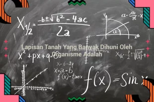 featured image lapisan tanah yang banyak dihuni oleh organisme adalah 0