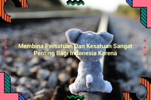 featured image membina persatuan dan kesatuan sangat penting bagi indonesia karena 0