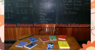 featured image nama dataran rendah di pulau kalimantan 0
