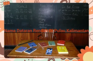 featured image nama dataran rendah di pulau kalimantan 0