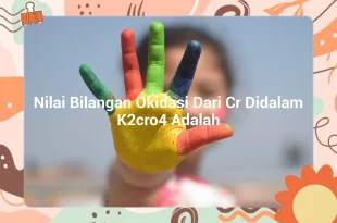 featured image nilai bilangan okidasi dari cr didalam k2cro4 adalah 0