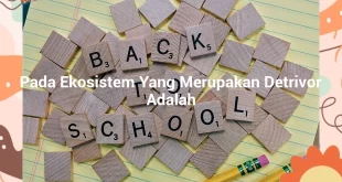 featured image pada ekosistem yang merupakan detrivor adalah 0
