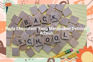 featured image pada ekosistem yang merupakan detrivor adalah 0